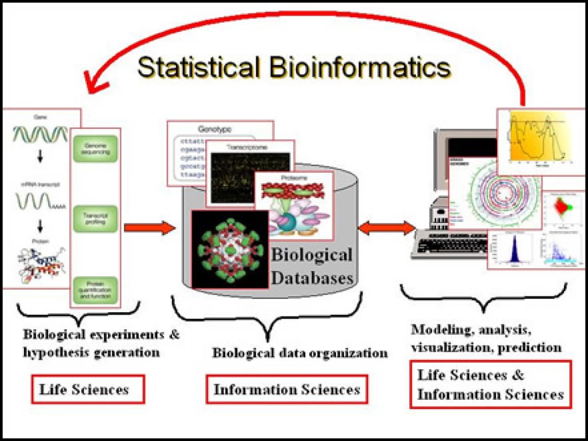 تحليل BioInformatics